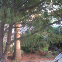 фото из отзыва ID 1430164