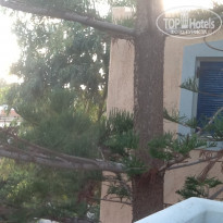 фото из отзыва ID 1430164