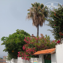 фото из отзыва ID 1430308