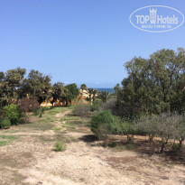 фото из отзыва ID 1430388