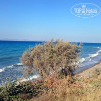 фото из отзыва ID 1430477