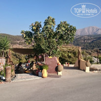 фото из отзыва ID 1430477