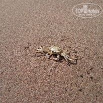 фото из отзыва ID 1430477