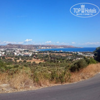 фото из отзыва ID 1430477