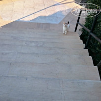 фото из отзыва ID 1430477