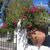 фото из отзыва ID 1430477