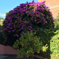 фото из отзыва ID 1430498