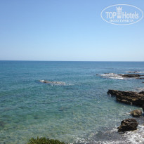 фото из отзыва ID 1430512