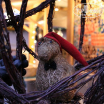 фото из отзыва ID 1430559