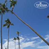 фото из отзыва ID 1430633