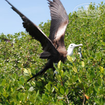 фото из отзыва ID 1430633