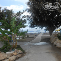 фото из отзыва ID 1430988