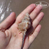 фото из отзыва ID 1431038