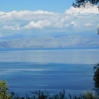 фото из отзыва ID 1430037