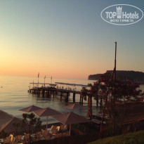 фото из отзыва ID 1431101