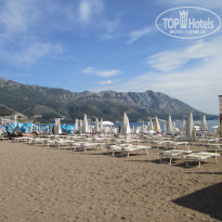 фото из отзыва ID 1431102