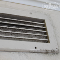 фото из отзыва ID 1431121