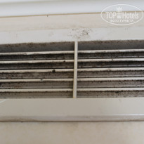 фото из отзыва ID 1431121