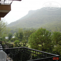 фото из отзыва ID 1431172