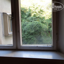 фото из отзыва ID 1431192