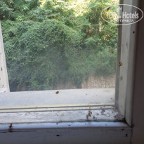 фото из отзыва ID 1431192