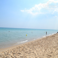 фото из отзыва ID 1431445