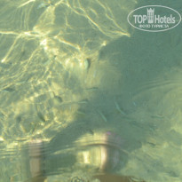 фото из отзыва ID 1431445