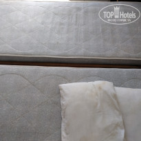 фото из отзыва ID 1431467