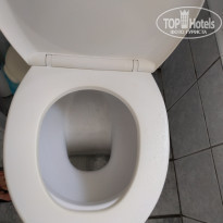 фото из отзыва ID 1431467