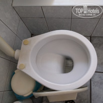 фото из отзыва ID 1431467