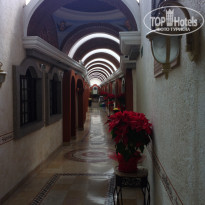 фото из отзыва ID 1431477