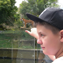 фото из отзыва ID 1431540