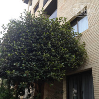 фото из отзыва ID 1431653