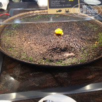 фото из отзыва ID 1431653