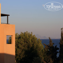 фото из отзыва ID 1431697