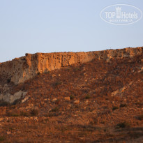 фото из отзыва ID 1431697