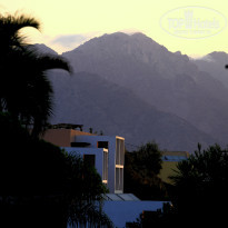 фото из отзыва ID 1431697