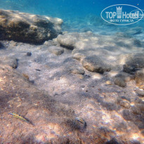 фото из отзыва ID 1431697