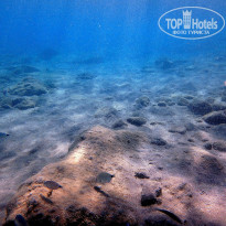 фото из отзыва ID 1431697