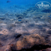 фото из отзыва ID 1431697