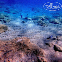 фото из отзыва ID 1431697