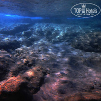 фото из отзыва ID 1431697