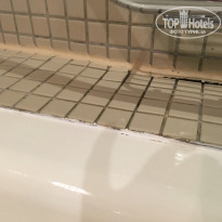 фото из отзыва ID 1431752