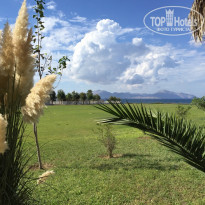 фото из отзыва ID 1431754