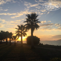 фото из отзыва ID 1431754