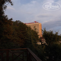 фото из отзыва ID 1431872