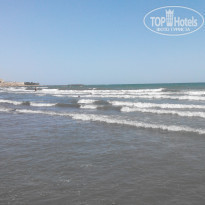 фото из отзыва ID 1431873