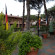 Villa Rita