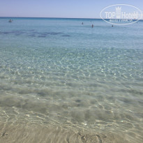 фото из отзыва ID 1431925