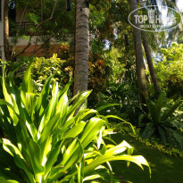 фото из отзыва ID 1432013